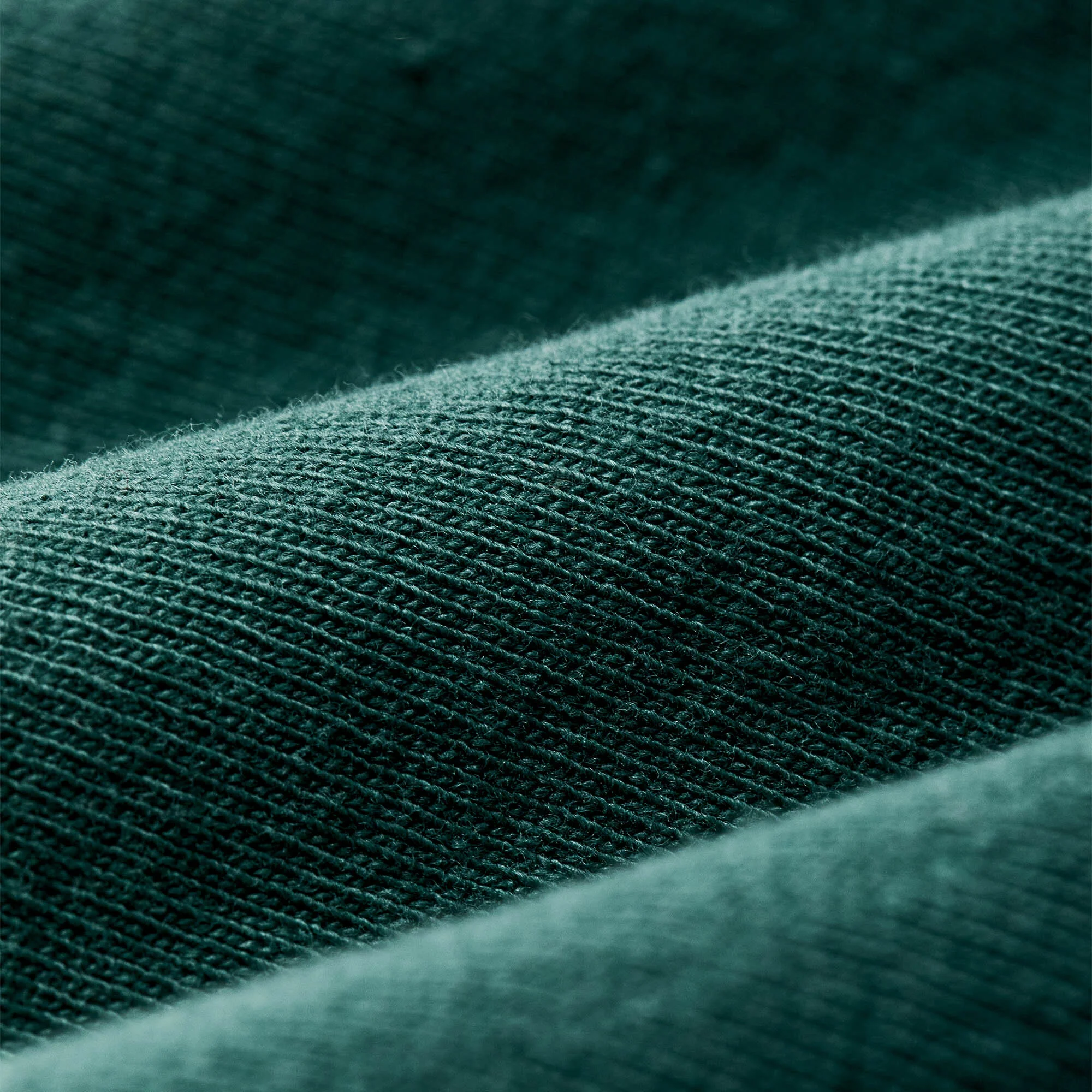 FORESTRY GRAPHIC T-SHIRT - Image 3
